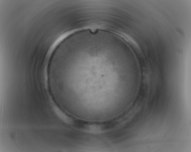 X0000115580792200911101147