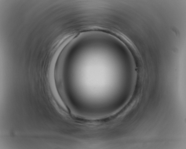 X0000115580793200911101147