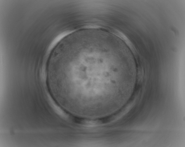 X0000115580795200911101147