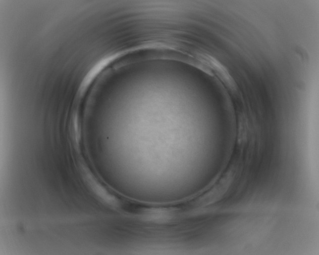 X0000115580796200911101147