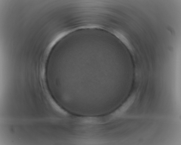 X0000115580797200911101147