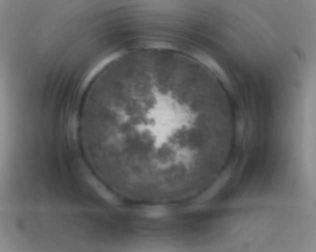 X0000115580798200911101147