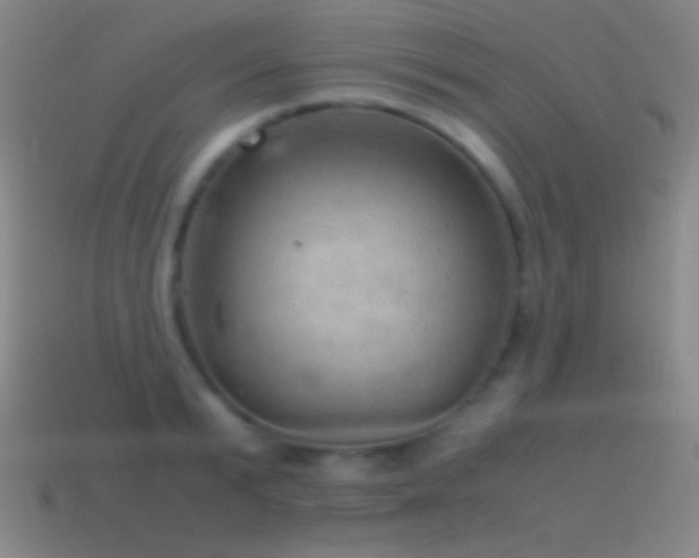 X0000115580799200911101147