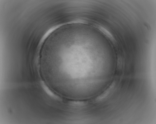 X0000115580800200911101147