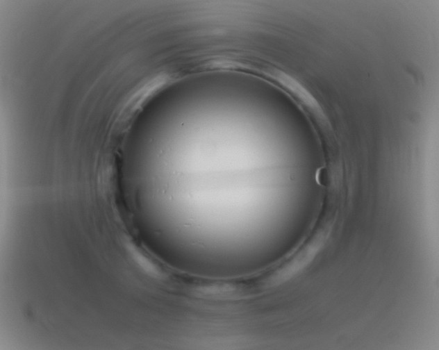 X0000115580801200911101146