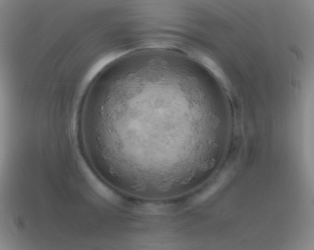 X0000115580803200911101146