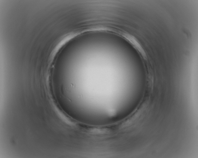 X0000115580805200911101146