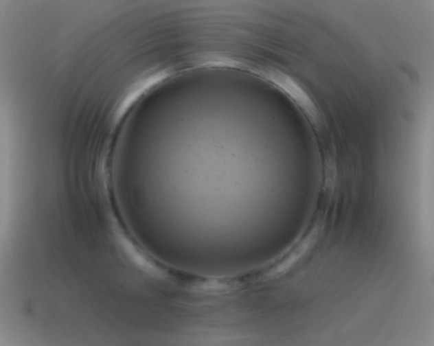 X0000115580806200911101146