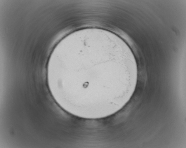 X0000115580807200911101146