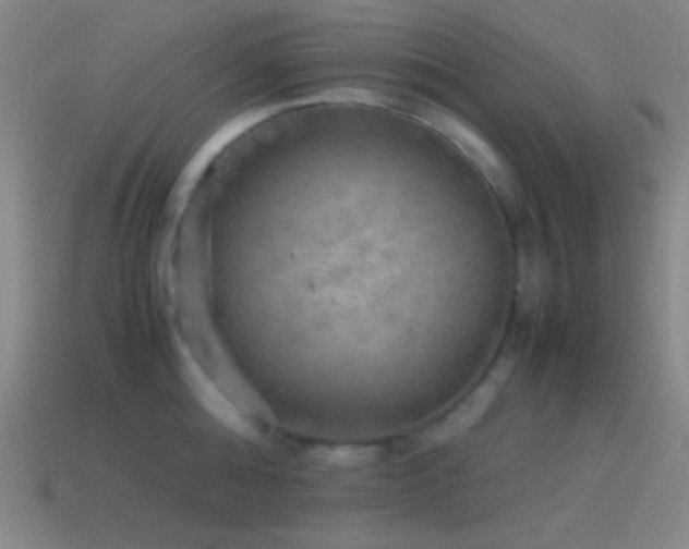 X0000115580808200911101146