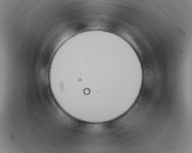 X0000115580810200911101146