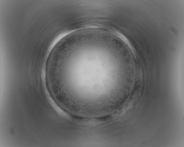 X0000115580811200911101146