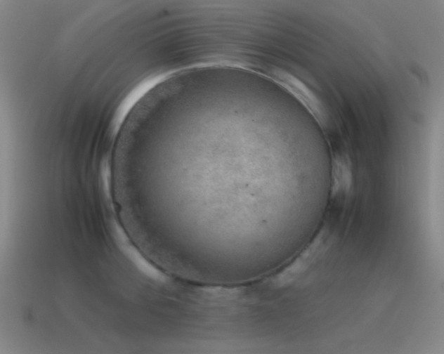 X0000115580812200911101146