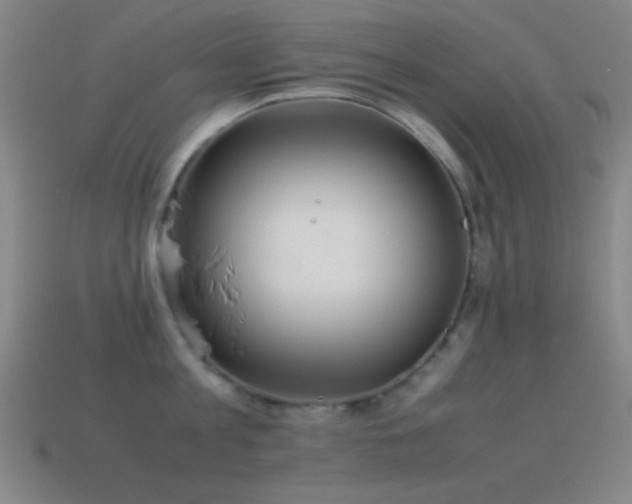 X0000115580813200911101146