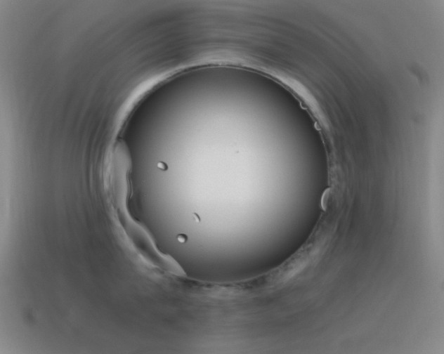 X0000115580815200911101146