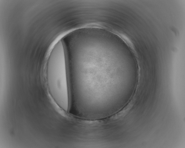 X0000115580816200911101146