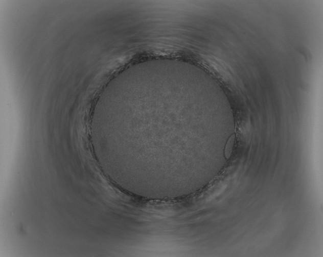 X0000115580817200911101146