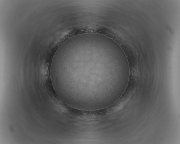 X0000115580818200911101146