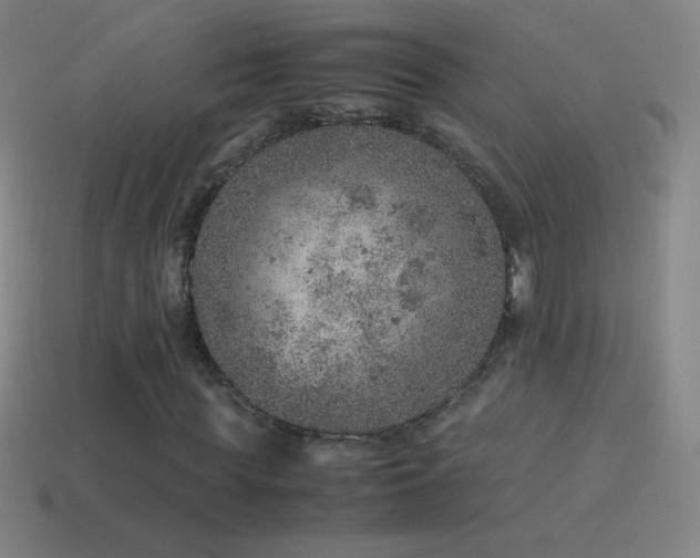 X0000115580819200911101146