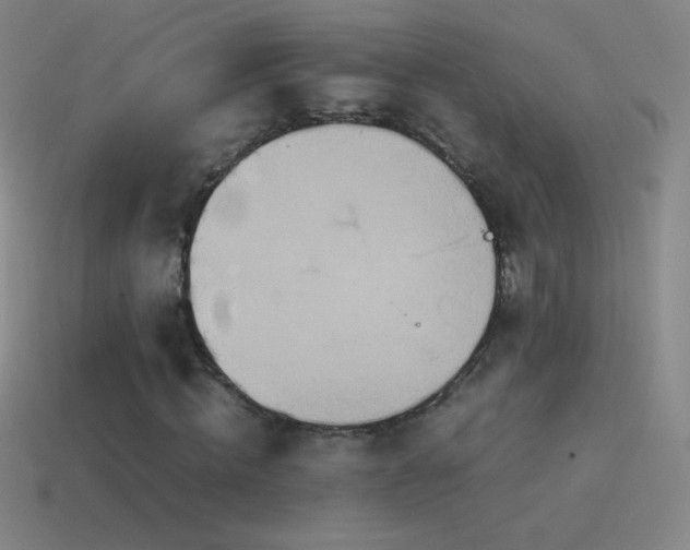 X0000115580820200911101146