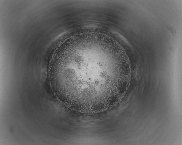 X0000115580821200911101146