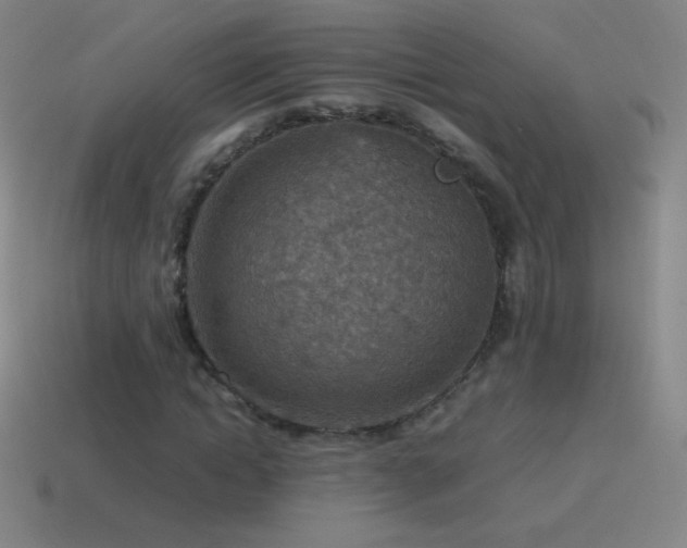 X0000115580822200911101146