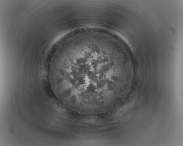 X0000115580823200911101146