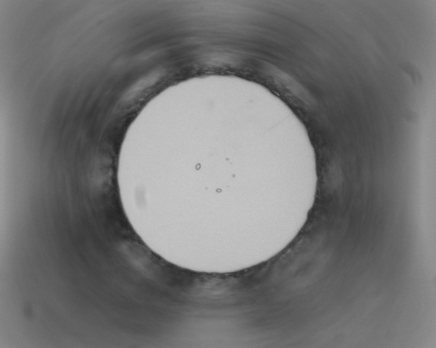 X0000115580824200911101146