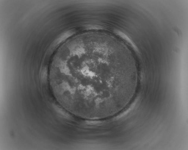 X0000115580825200911101146