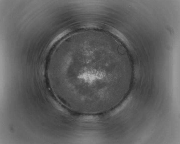 X0000115580826200911101146