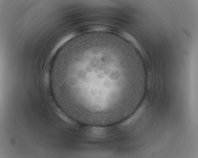 X0000115580827200911101146