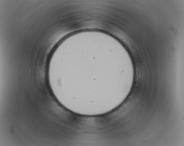 X0000115580828200911101146