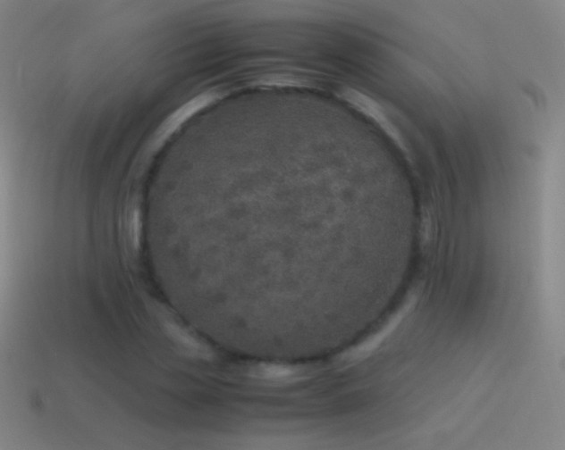 X0000115580829200911101146