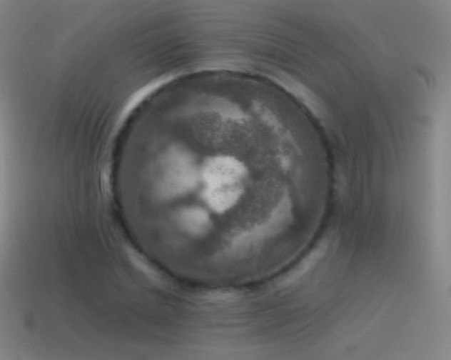 X0000115580830200911101146