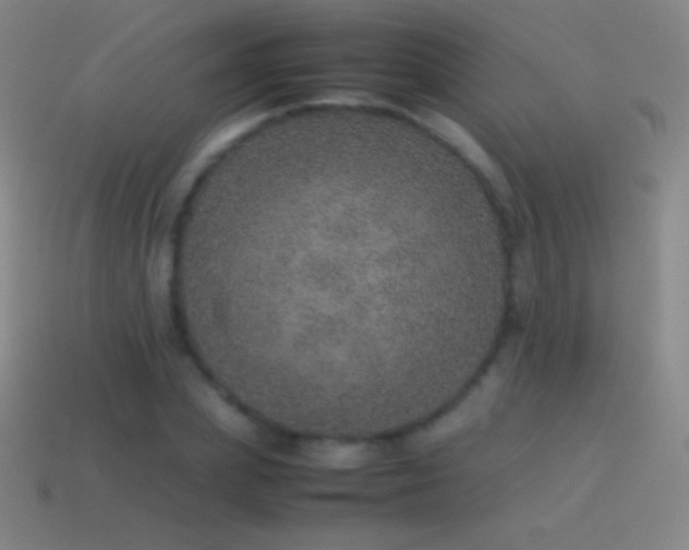 X0000115580831200911101146