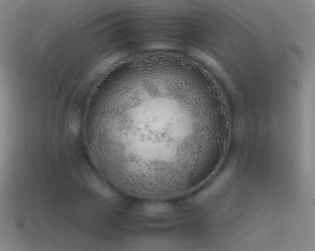 X0000115580833200911101146