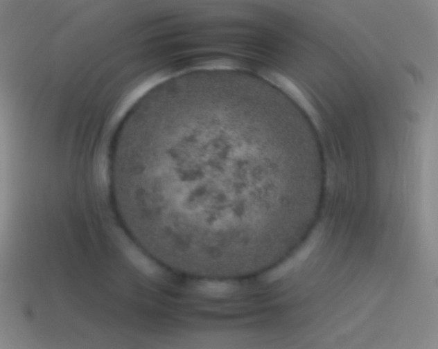 X0000115580835200911101146