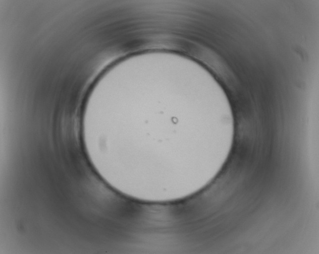 X0000115580836200911101146