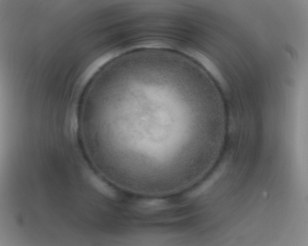 X0000115580837200911101146