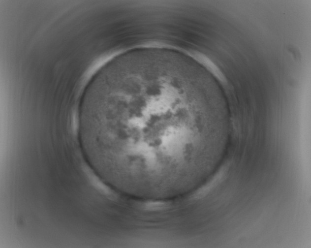 X0000115580839200911101146