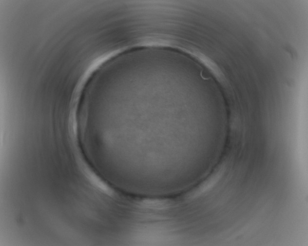 X0000115580840200911101146