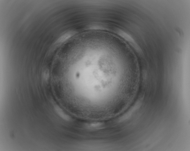 X0000115580841200911101146