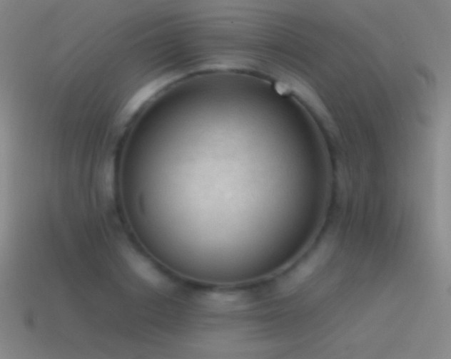 X0000115580842200911101146