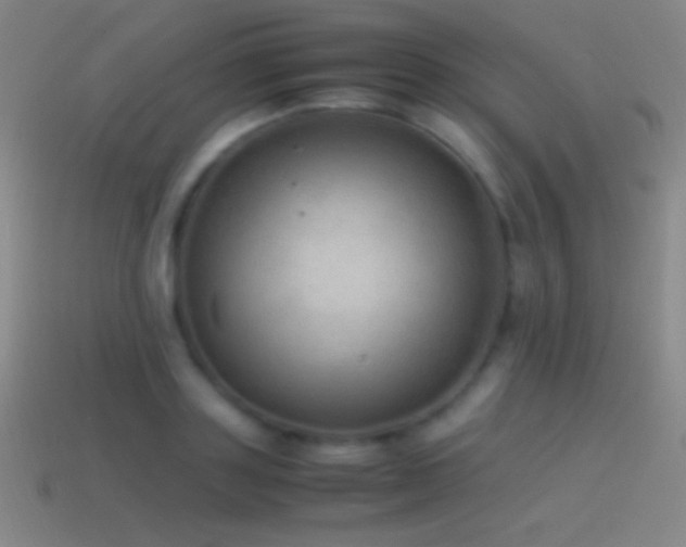 X0000115580843200911101146