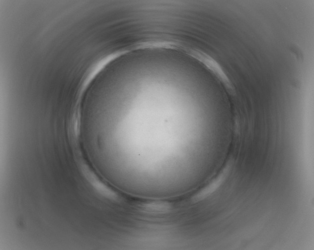 X0000115580844200911101146