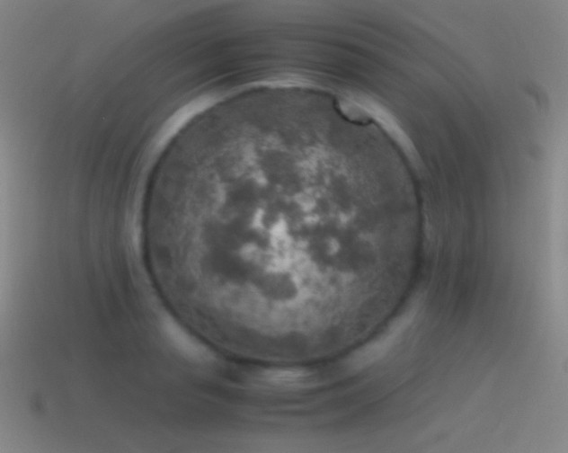 X0000115580845200911101146