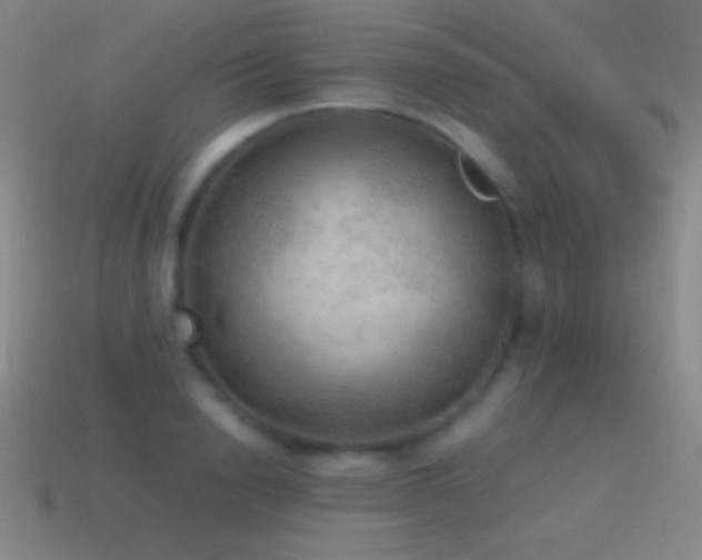 X0000115580846200911101146