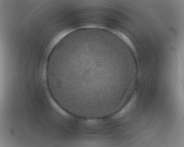 X0000115580847200911101146