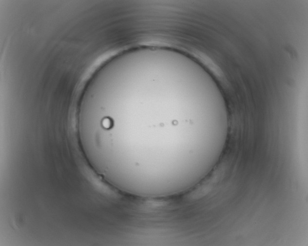 X0000115580848200911101146