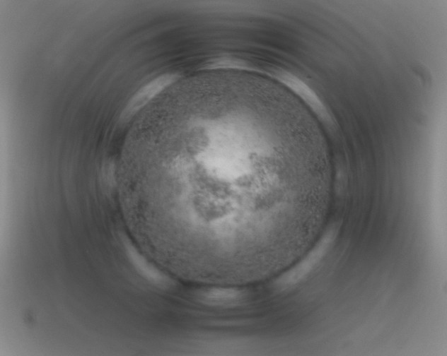 X0000115580849200911101146